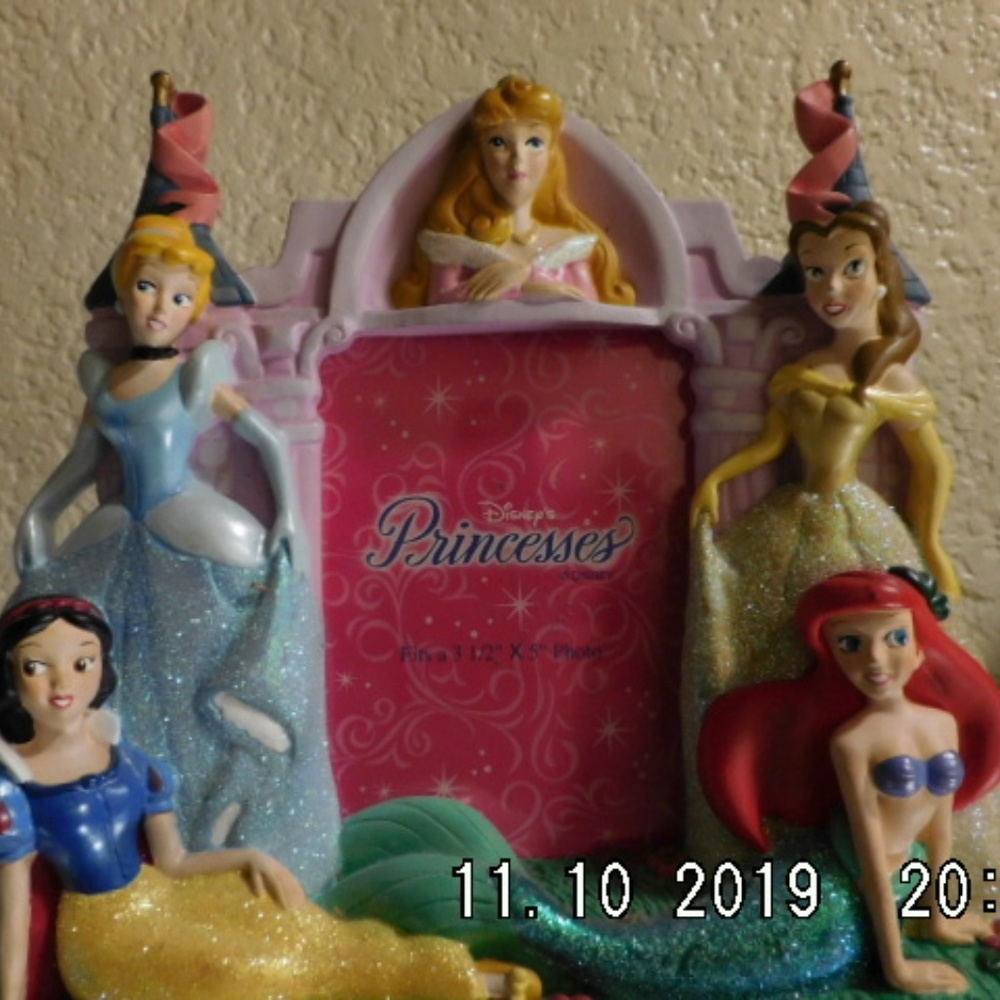 Disney's Princess picture frame